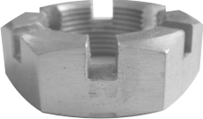 PORCA DO PINHAO DO TINKINHO